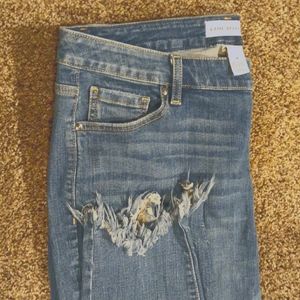 Lane Bryant Light Wash Skinny Jeans